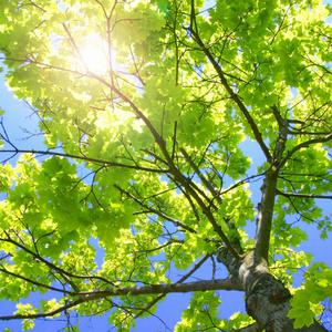 美妇岳的肉泬第13部分视频
